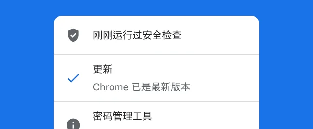 Chrome 安全检查界面